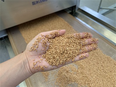 Microwave baking equipment for flaxseed
