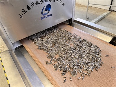 Microwave equipment baking sunflower seeds