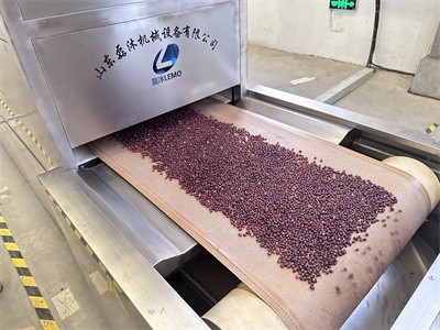 Microwave equipment is widely used in the maturation of beans such as red beans