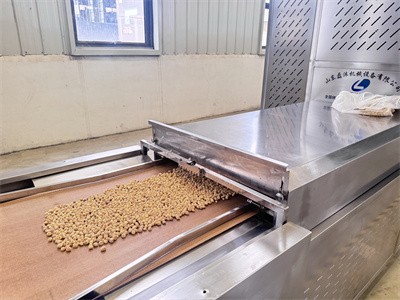 Industrial microwave tunnel oven baking Cyperus esculentus