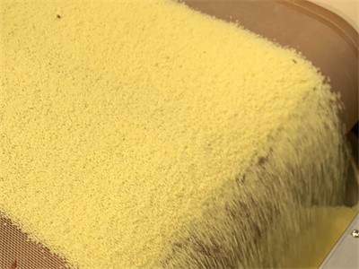 Microwave drying of chicken essence and other seasonings