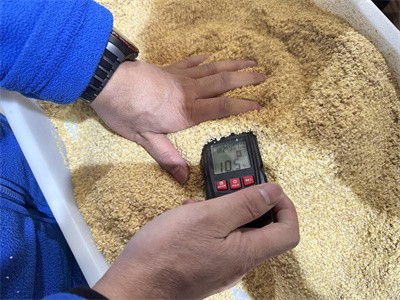 在麥麩的眾多加工方式中，微波技術發揮了哪些優勢呢？
