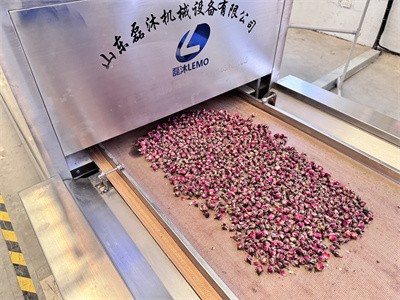 Introduction to Microwave Secondary Drying of Herbal Tea to Kill Insect Eggs