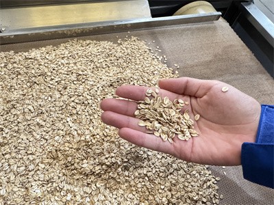 Using microwave equipment to bake oatmeal