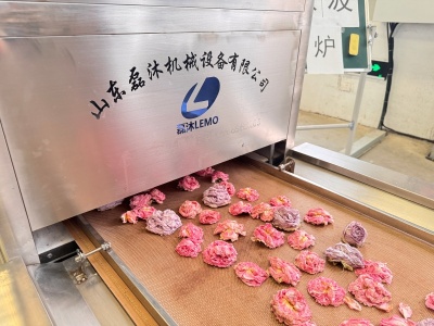 鮮花微波烘干隧道爐：鎖住繁花本色的烘干工藝？