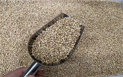 Microwave drying and insecticidal egg processing of miscellaneous grains？